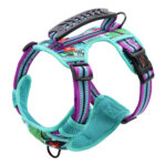 Small Medium And Large Dog Pet Leash Chest Harness - Image 2