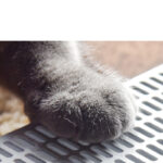 Semi-enclosed litter box - Image 3