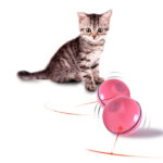 USB laser funny cat toy - Image 3