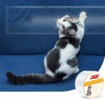 Sofa Protective Tape Pet Cat Anti-scratch Stickers Protective Furnishings - Image 8
