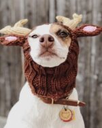 Pet Dog Dinosaur Warm Windproof Halloween Knitted Hat Head Cover - Image 8