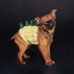 Pet Dog Dinosaur Warm Windproof Halloween Knitted Hat Head Cover - Image 10