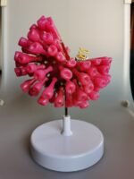 Novel Coronavirus Model Home Furnishing Research Display - Image 4