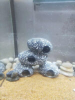 Fish Tank Stone View Decorative Landscaping Fish And Shrimp House Breeding - Image 10