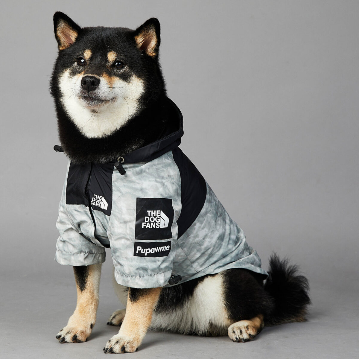 Dog Noodles New Dog Large Dog Dog Pet Shell Jacket - Image 10