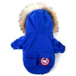 Pet dog clothes wool hat clothes cotton clothes - Image 2