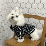 Autumn And Winter Teddy Pet Jacket Zipper Coat - Image 10