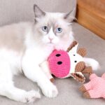 Cute Animal Shape Plush Toys For Small Large Dogs Puppy Squeaky Toy Bite Resistant Dog Chew Toys Dog Accessories Pet Supplies - Image 7