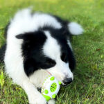 Phedgehog Shape Dog Toy Leaking Food Toys For Small Large Dogs Cat Chewing Toys Pet Tooth Cleaning Indestructible Puppy Toys Ball Molar Tooth Cleaning Stick - Image 2