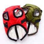 Down jacket cotton coat Pomeranian Teddy dog clothes - Image 2