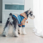 Dog clothes hooded - Image 3