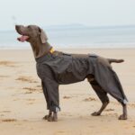 Pet Four-legged Raincoat Medium Large Dog Waterproof Poncho - Image 9