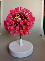 Novel Coronavirus Model Home Furnishing Research Display - Image 2