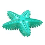 Dog Toys For Large Dogs Tooth Cleaning Chew Funny Interactive Training Starfish Toy Accessories Squeaky Toys TPR Toys - Image 4
