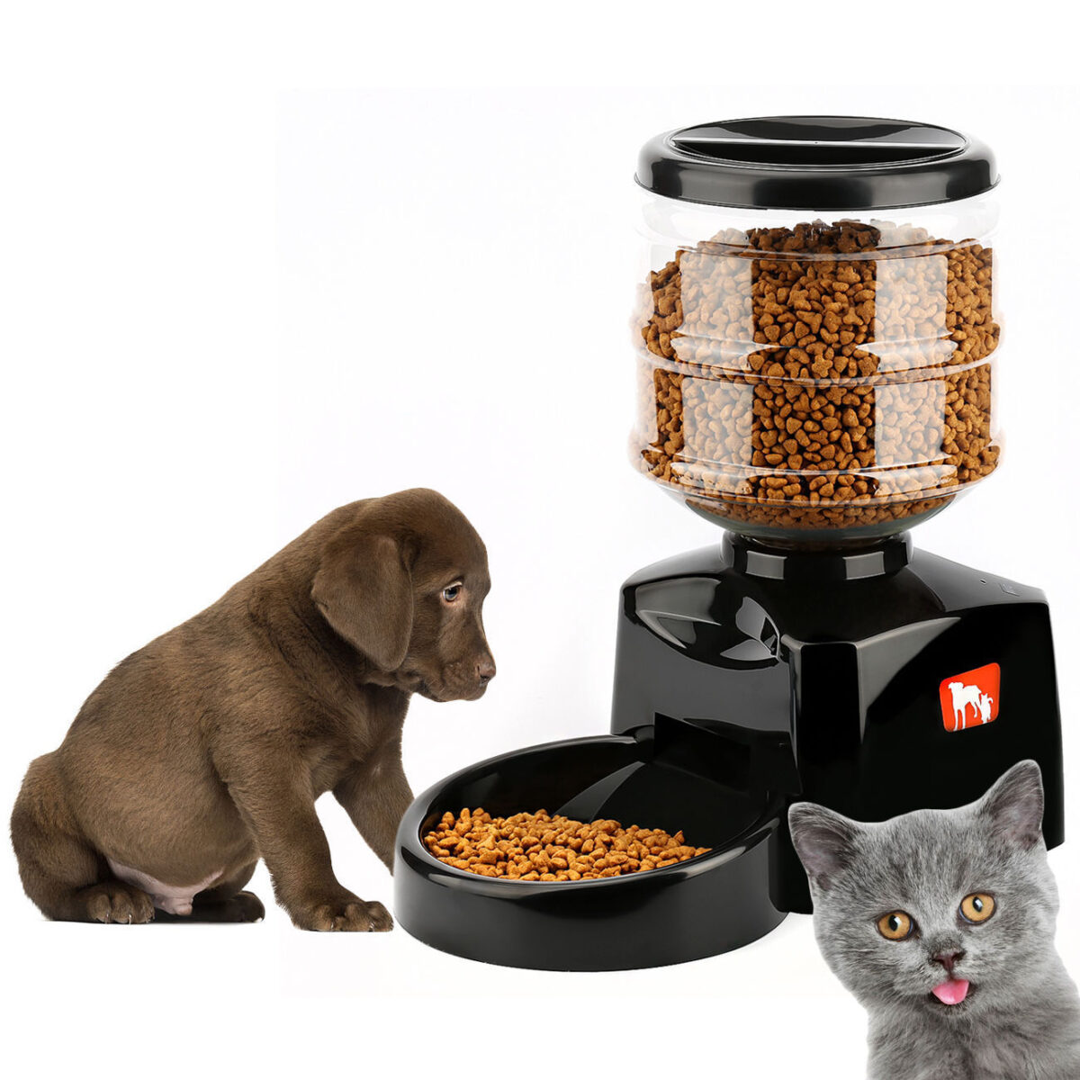 Timing Intelligent Automatic Feeder Snack Pet Supplies - Image 1
