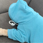 Pet with fleece hoodie - Image 3