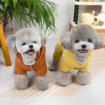 Dog Fashion Autumn And Winter New Clothing - Image 2