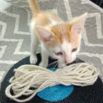 DIY Handmade Rope - Image 5