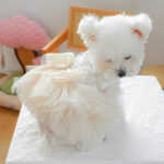 Dog Clothing Tulle Tutu Skirt Chest And Back High-end Wedding Dress - Image 5