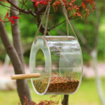 Acrylic Bird Food Box - Image 5
