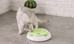 Electric funny cat tray toy - Image 3