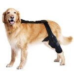 Tear Protection Rehabilitation Training Belt - Image 7