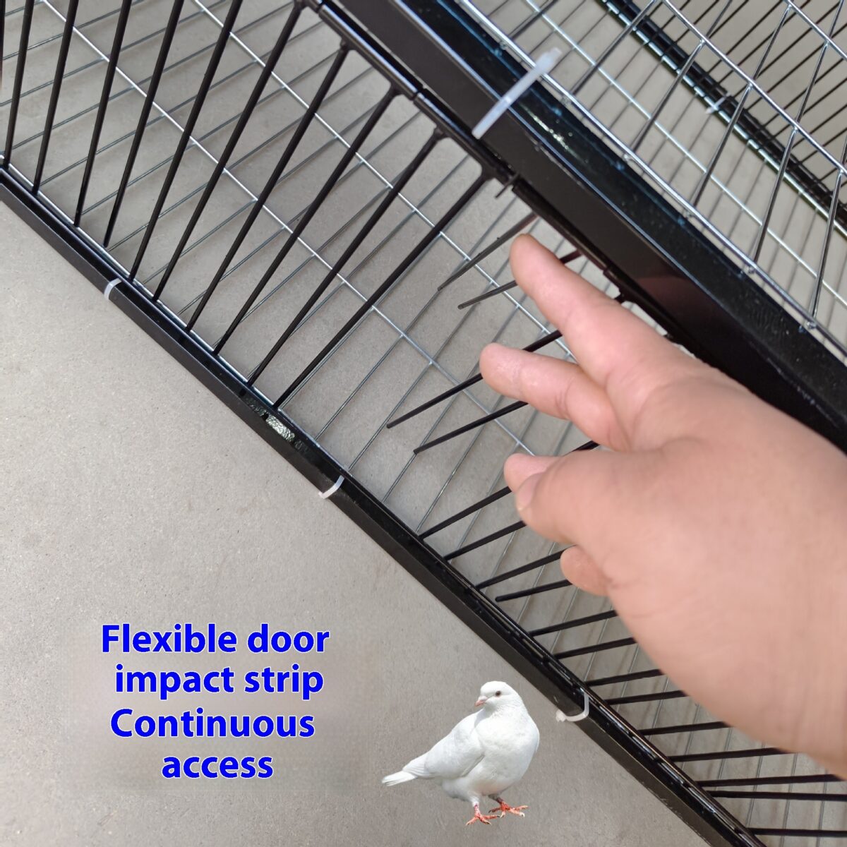 Outdoor Household Roof Only-in-no-out Pigoen Cage - Image 2