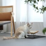 Small Dog Water And Food Feeder - Tilted Ceramic Bowl Set With Bamboo Stand - Image 8