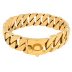 Stainless steel cast dog collar