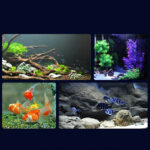 Aquarium lamp - Image 4