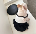 Pomeranian Small Dog Jarre Aero Bull Dress - Image 2
