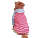 Big dog clothes in autumn and winter - Image 4