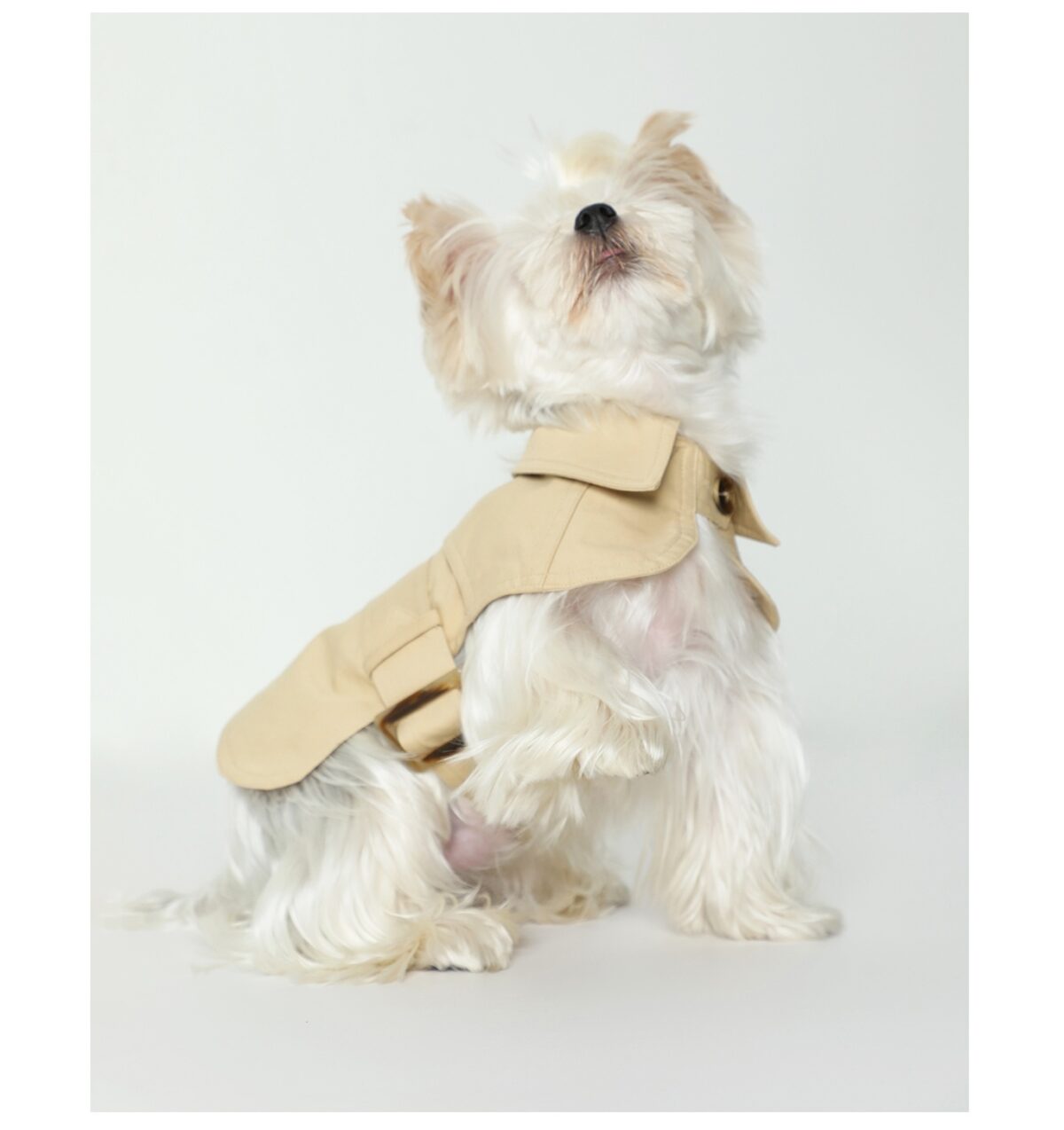 Summer Pet Clothes Dog British Trench Coat - Image 5