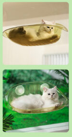Universal Cat Climbing Frame Cat Window Sucker Hanging Bed Swing Balcony Bedside Glass Sleeping Cat Hammock - Image 6