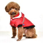 Pet Hooded T-shaped Reflective Silk Cotton-padded Jacket - Image 3