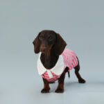 Dog Vest Sleeveless Red Striped Small Dog Schnauzer Sausage - Image 2