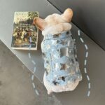 Pet Cat And Dog Summer Thin Denim Vest Jacket