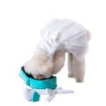 Pet Gift Ring To Relieve Boredom Sniff And Miss Food Plush Toy - Image 5