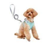 Dog Hand Holding Rope Vest Small Dog Dog Leash Teddy Bichon Breathable Chest Strap Pomeranian Puppy Small Dog Leash - Image 3