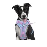 Dog Breast Strap Hand Holding Rope Dog Leash Collar Chest Back - Image 4