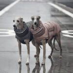 Dog Clothes Thickened Thermal Vest Cotton Coat - Image 2