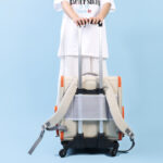 Pet Trolley Bag Panoramic Model Large Capacity Cat Bag - Image 3