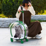 Pet Trolley Bag Portable Dog Out Transparent Trolley Bag Space Capsule - Image 3