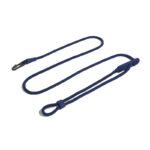 Pet Dog Fashion Minimalist Slant Leash - Image 4