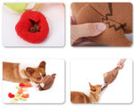 Roast Turkey Vegetable Sniff Hide Food Leakage Training Play Plush Toy - Image 3