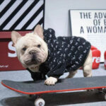 Alphabet Lamb Fleece Warm Zipper Hoodie Dog Clothes - Image 3