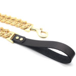 Golden Stainless Steel Leather Dog Chain - Image 3