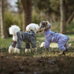 Fashion Personality Dog Pet One-piece Raincoat - Image 2