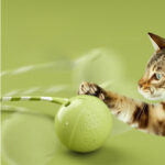 Cat Ball Toys Interactive Electric Balls Pet Toy Motion Activate Ball Toy With Touch Sensor Pet Supplies Cat Playing Accessories - Image 4