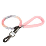Bianmu Golden Retriever Medium Dog Walking Rope - Image 3